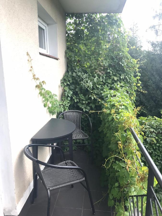 Noclegi Nad Potokiem Czarna  Buitenkant foto